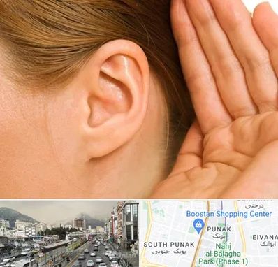 درمان وزوز گوش در پونک 