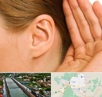 درمان وزوز گوش در مراغه
