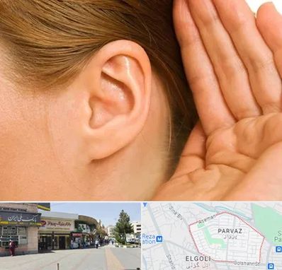 درمان وزوز گوش در پرواز تبریز