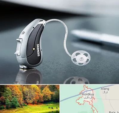 نمایندگی سمعک زیمنس در کردکوی