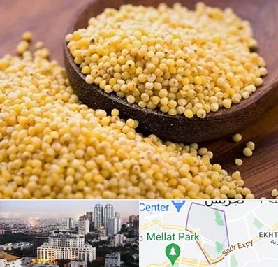 فروش ارزن در الهیه 