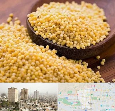 فروش ارزن در منطقه 5 تهران 