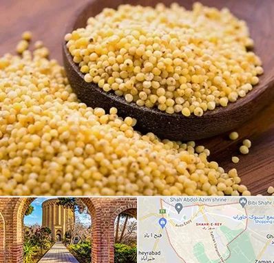 فروش ارزن در شهر ری