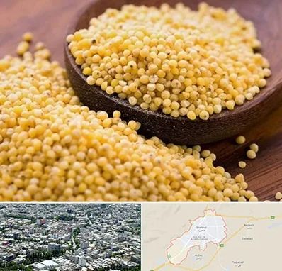 فروش ارزن در شاهرود