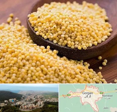 فروش ارزن در گرگان