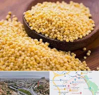 فروش ارزن در معالی آباد شیراز 