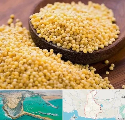 فروش ارزن در سیستان و بلوچستان