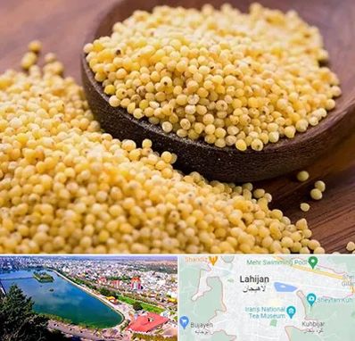 فروش ارزن در لاهیجان