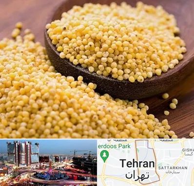 فروش ارزن در صادقیه 