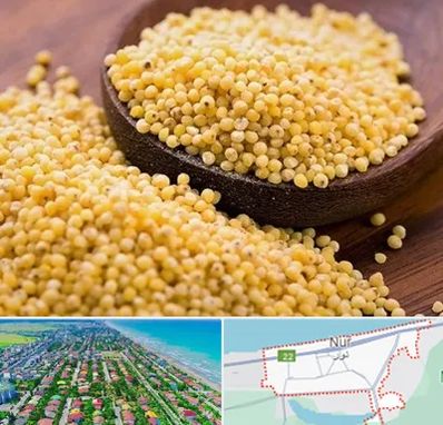 فروش ارزن در نور