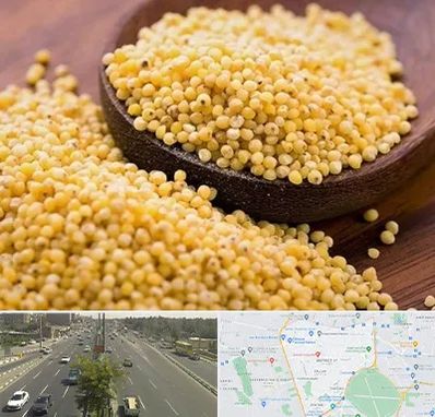 فروش ارزن در منطقه 17 تهران 