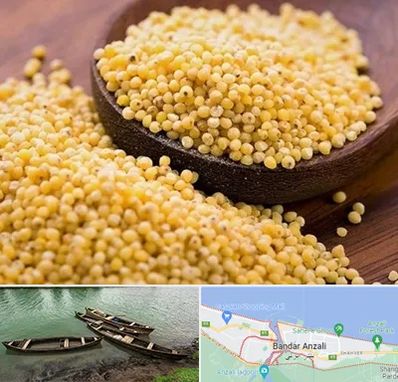 فروش ارزن در بندر انزلی