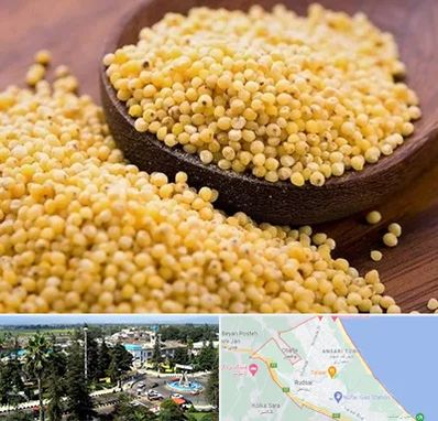 فروش ارزن در رودسر