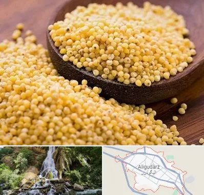 فروش ارزن در الیگودرز