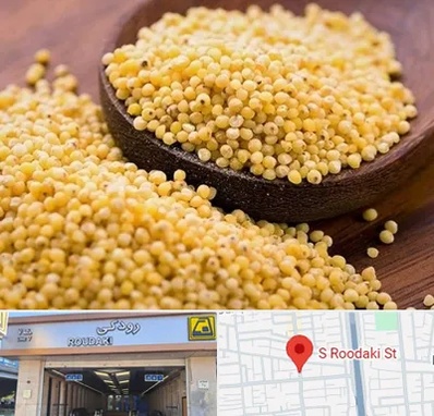 فروش ارزن در رودکی