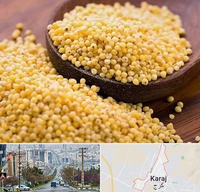 فروش ارزن در گوهردشت کرج 