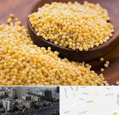 فروش ارزن در زرتشت