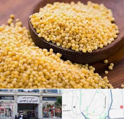 فروش ارزن در ایران زمین