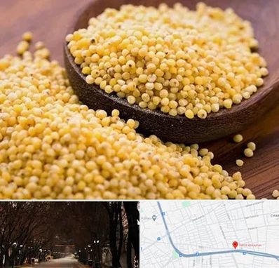 فروش ارزن در ابوریحان تبریز