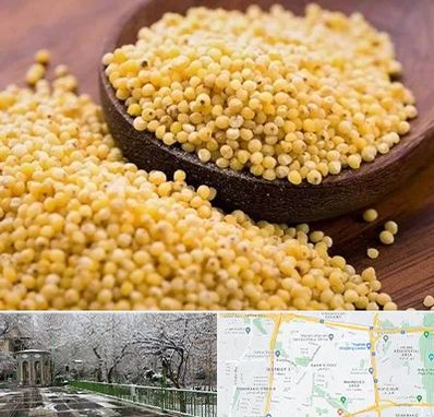 فروش ارزن در باغ فیض