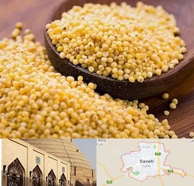 فروش ارزن در ساوه