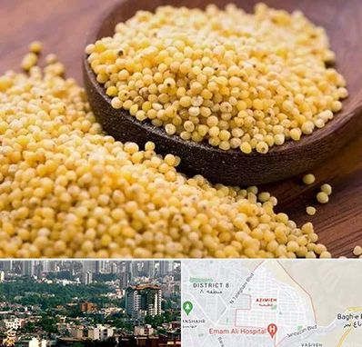 فروش ارزن در عظیمیه کرج 