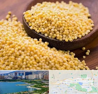 فروش ارزن در منطقه 22 تهران 