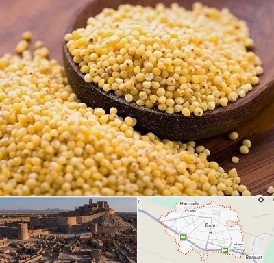 فروش ارزن در بم