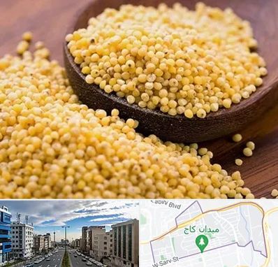 فروش ارزن در سعادت آباد 