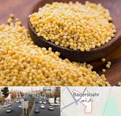 فروش ارزن در باقرشهر