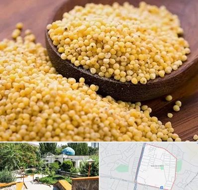 فروش ارزن در باغمیشه تبریز