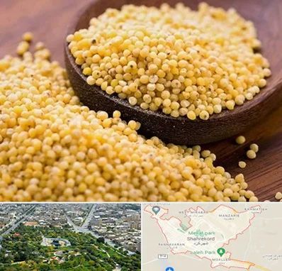 فروش ارزن در شهرکرد