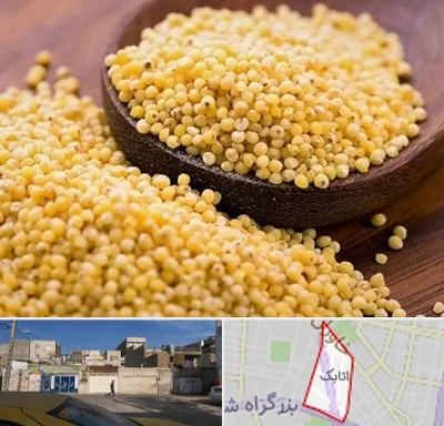 فروش ارزن در اتابک