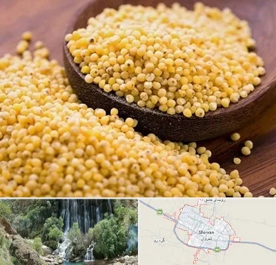 فروش ارزن در شیروان