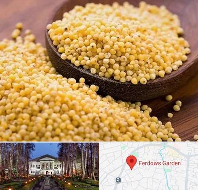 فروش ارزن در باغ فردوس