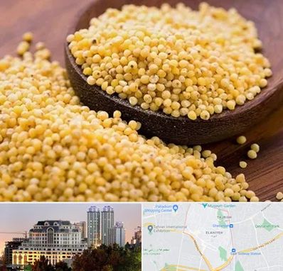 فروش ارزن در فرشته 