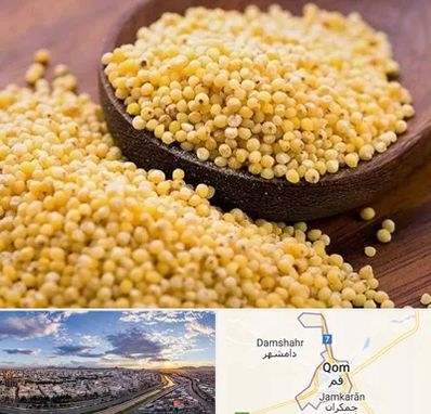 فروش ارزن در قم