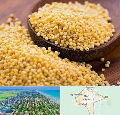 فروش ارزن در ساری