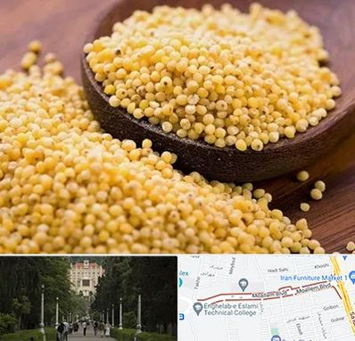 فروش ارزن در بلوار معلم رشت 