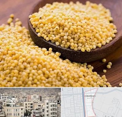 فروش ارزن در اسکندری