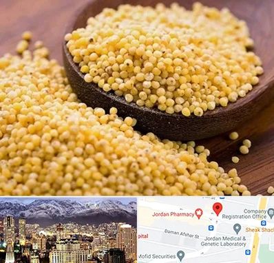 فروش ارزن در جردن 