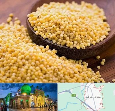 فروش ارزن در آستانه اشرفیه