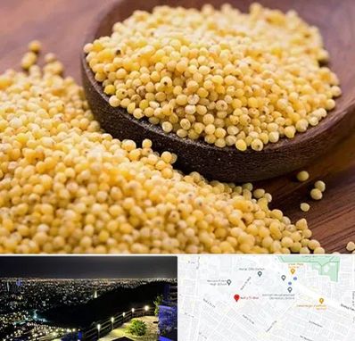 فروش ارزن در هفت تیر مشهد 