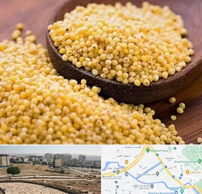 فروش ارزن در کوی وحدت شیراز