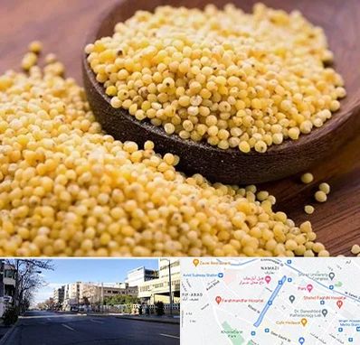 فروش ارزن در خیابان ملاصدرا شیراز 