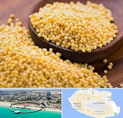 فروش ارزن در کیش