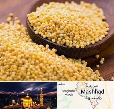 فروش ارزن در مشهد