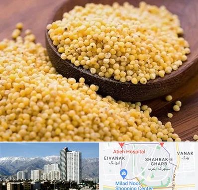 فروش ارزن در شهرک غرب 