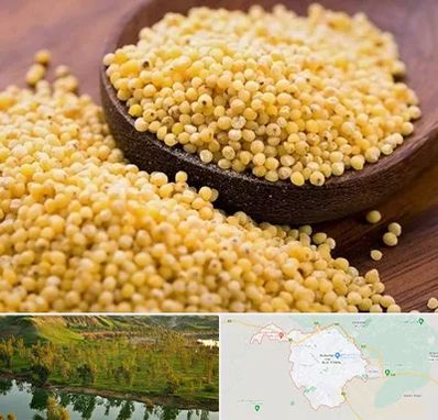 فروش ارزن در بهبهان