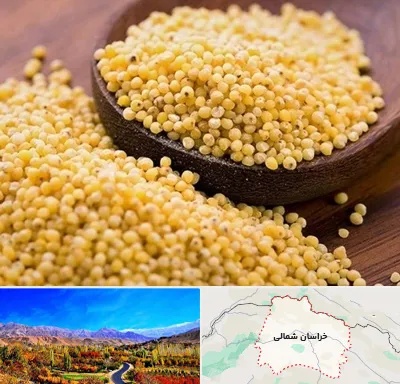 فروش ارزن در خراسان شمالی
